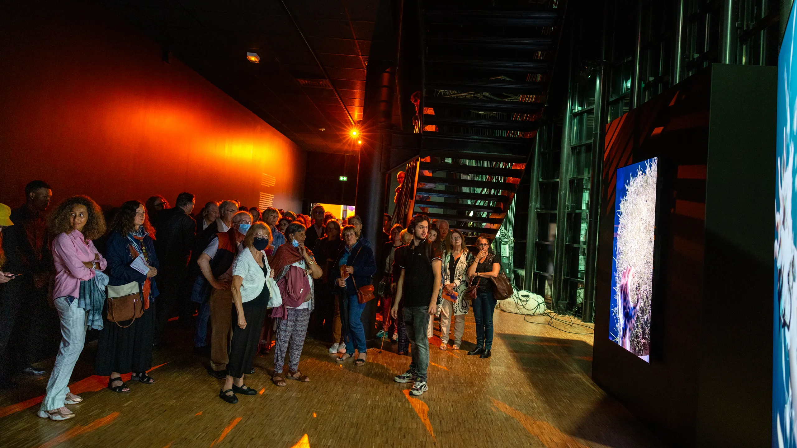 photo documentation of the exhibition