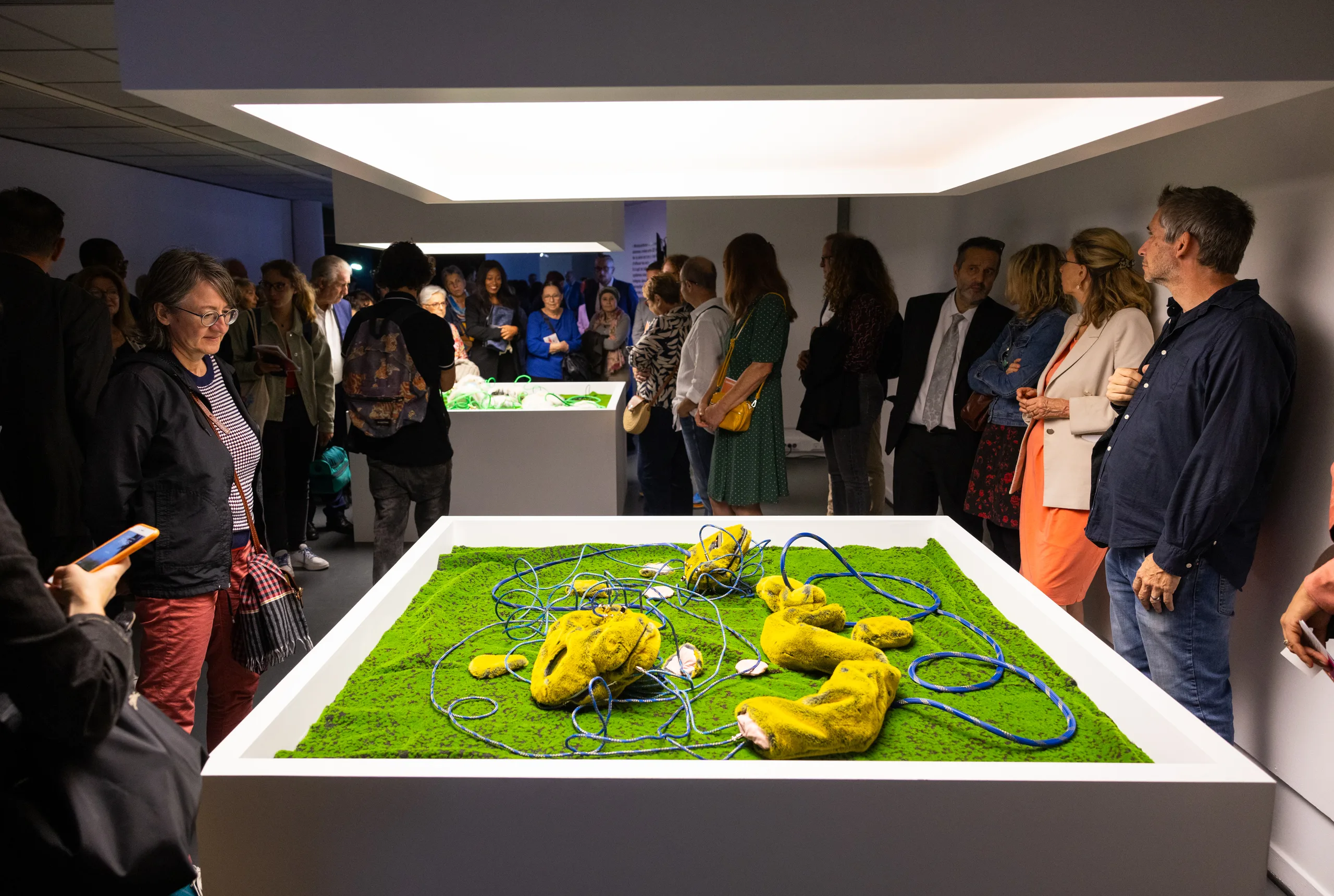 photo documentation of the exhibition